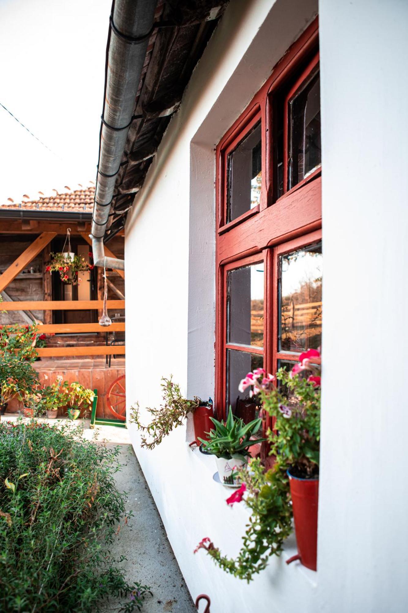 Prenociste Lelic Vila Valjevo Exterior foto