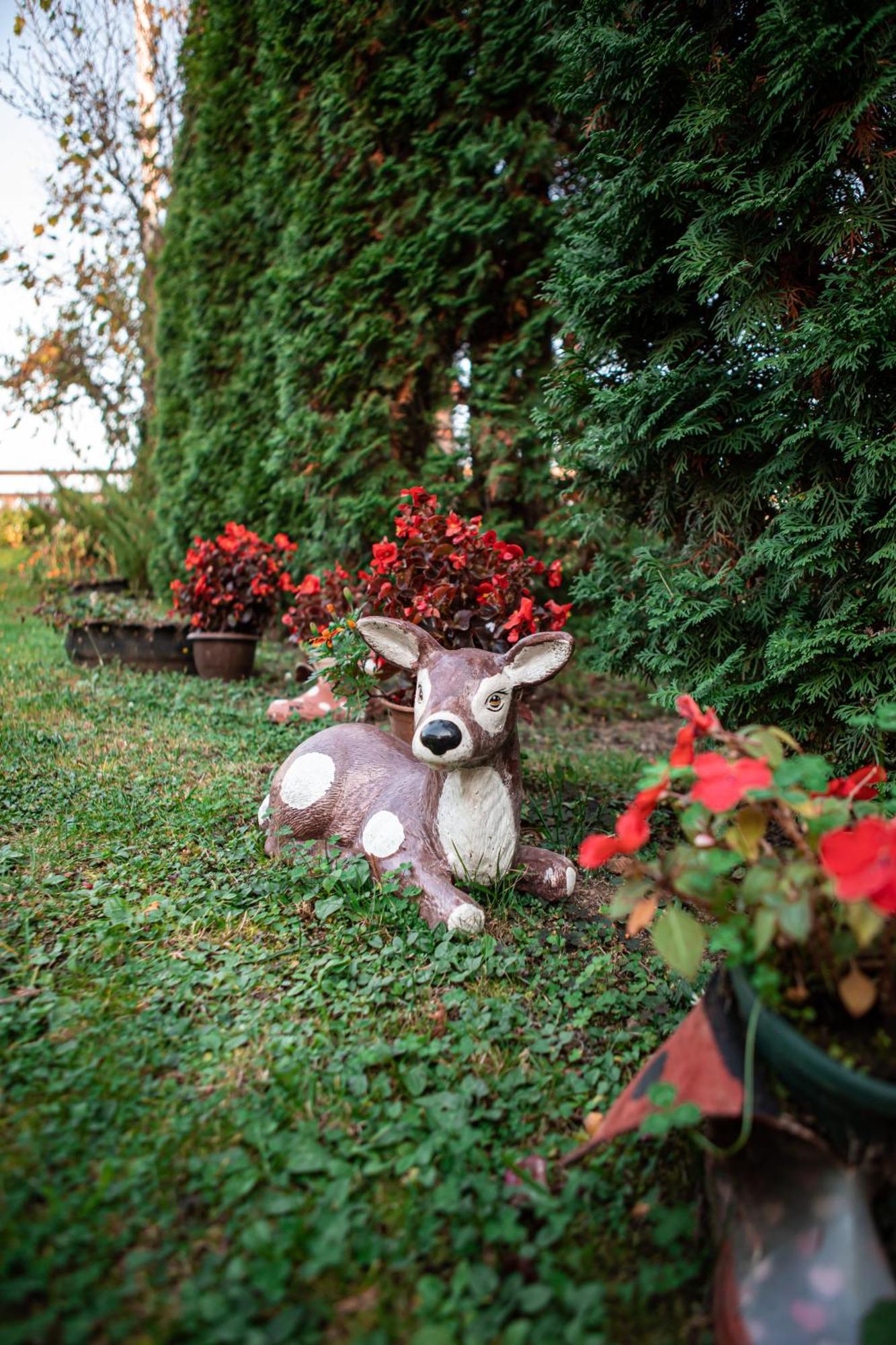 Prenociste Lelic Vila Valjevo Exterior foto