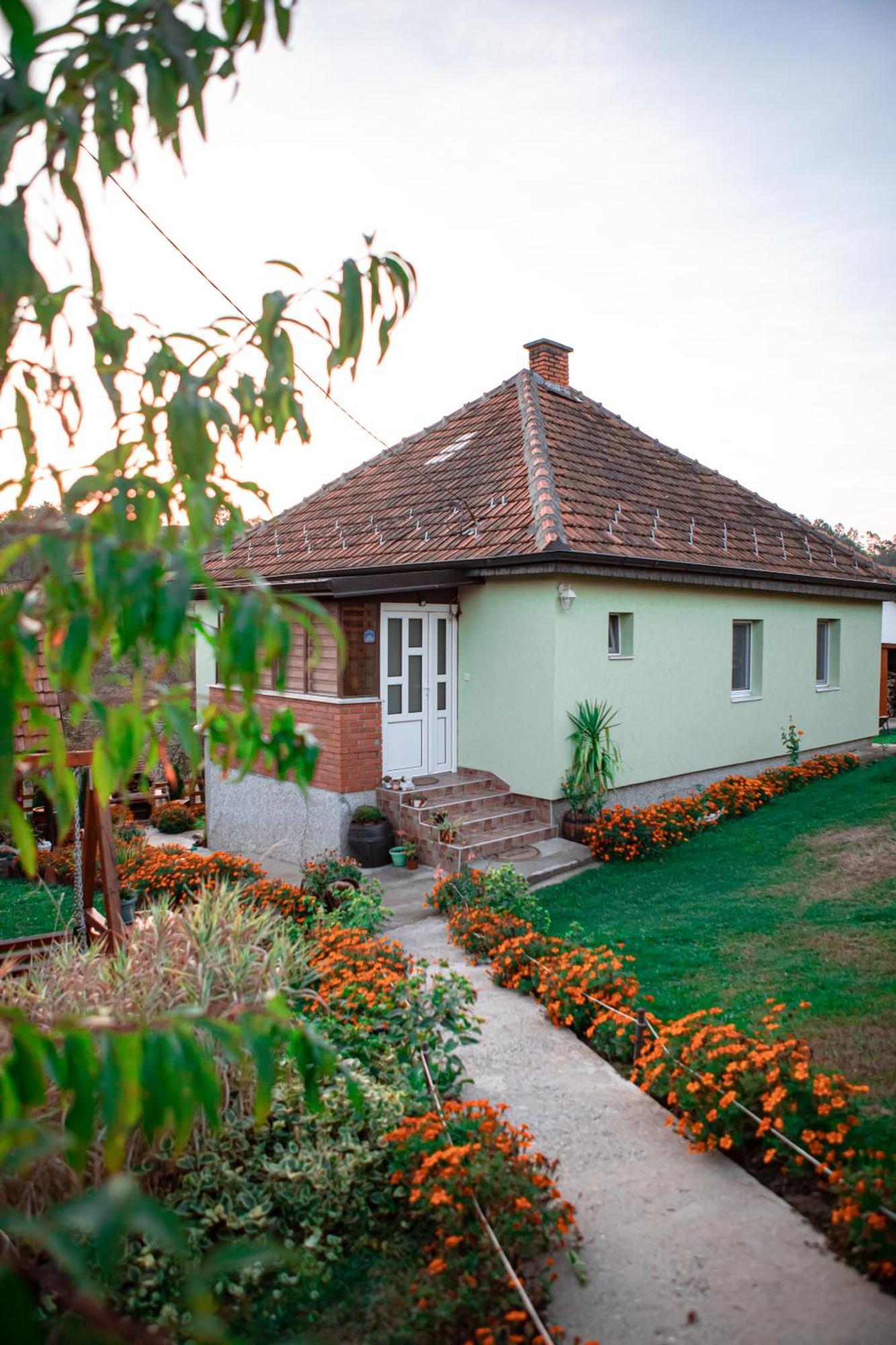 Prenociste Lelic Vila Valjevo Exterior foto