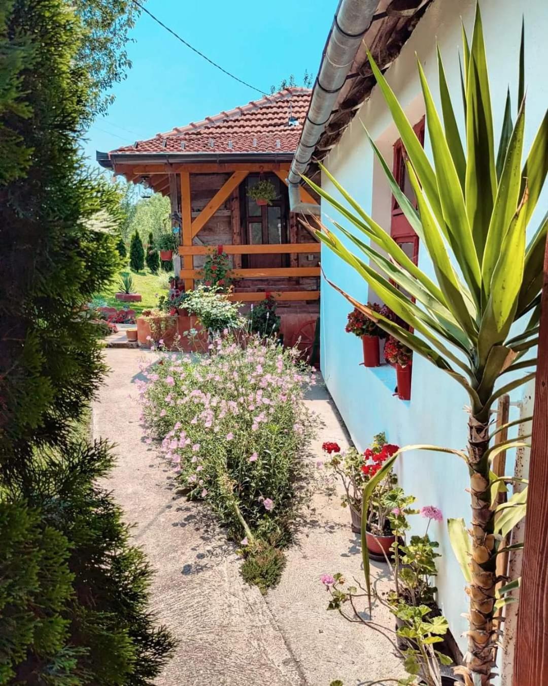 Prenociste Lelic Vila Valjevo Exterior foto